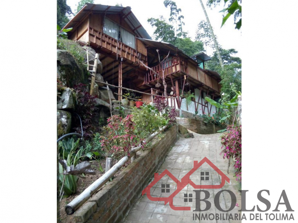 VENDO FINCA EN VEREDA JABUO- VÍA COOPEMTOL