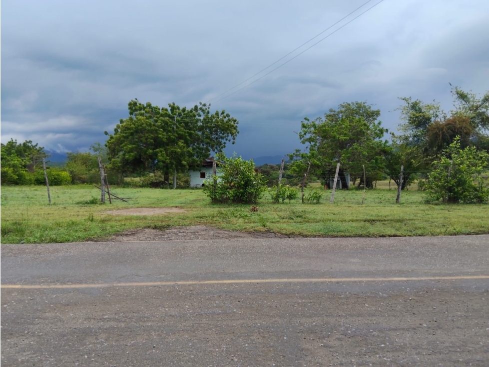 VENDO LOTE MUNICIPIO PIEDRAS TOLIMA