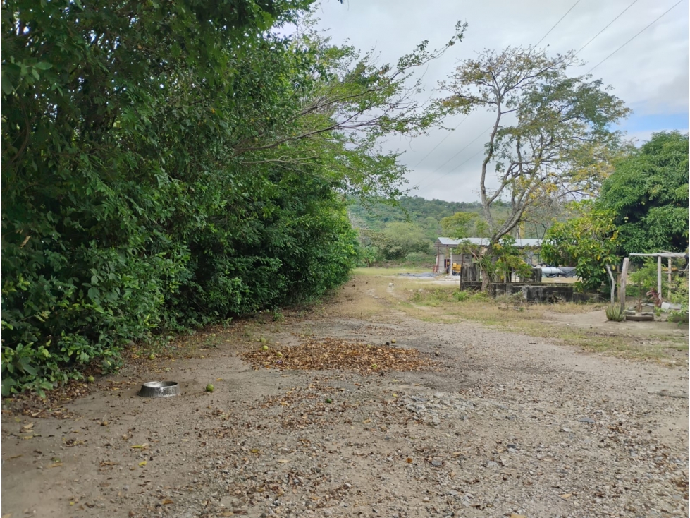 ARRIENDO LOTE INDUSTRIAL CON OFICINA - 5