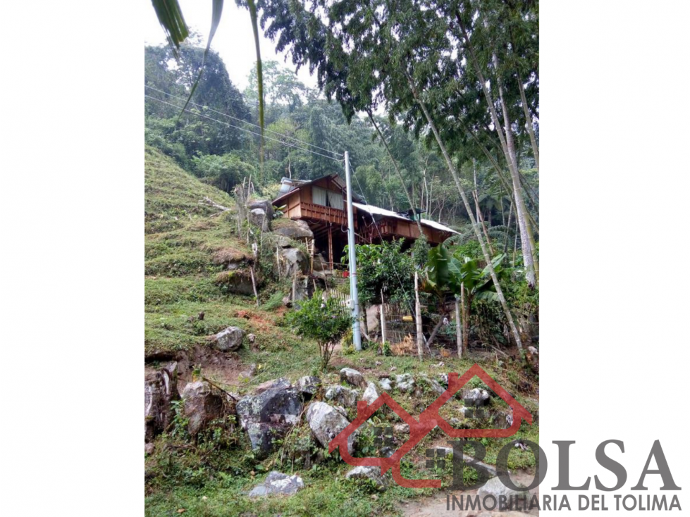 VENDO FINCA EN VEREDA JABUO- VÍA COOPEMTOL — foto 2