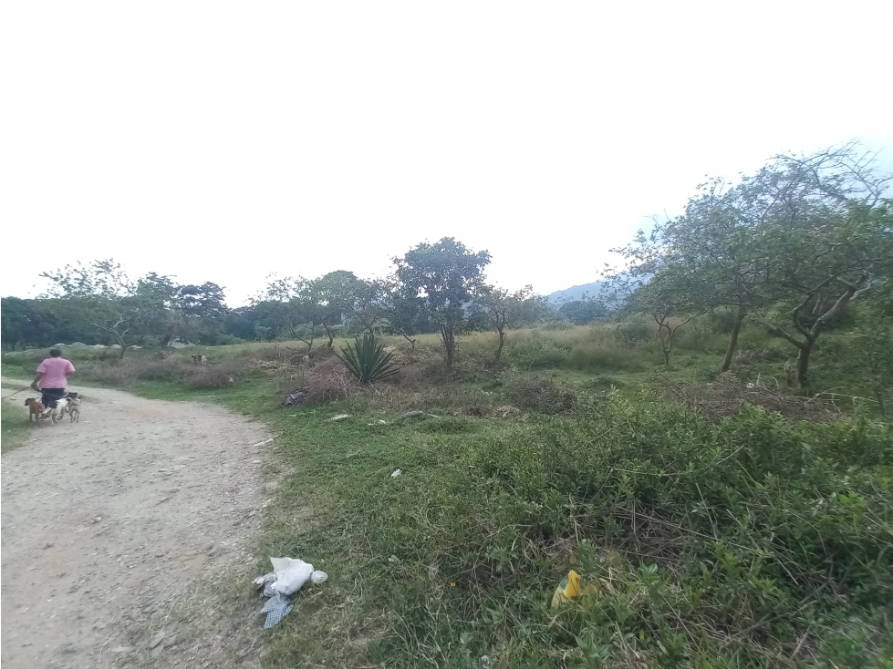 ARRIENDO AMPLIO LOTE SECTOR AMBALA - 3