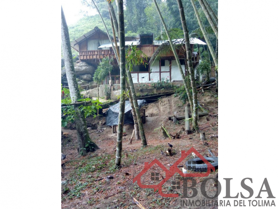 VENDO FINCA EN VEREDA JABUO- VÍA COOPEMTOL — foto 3
