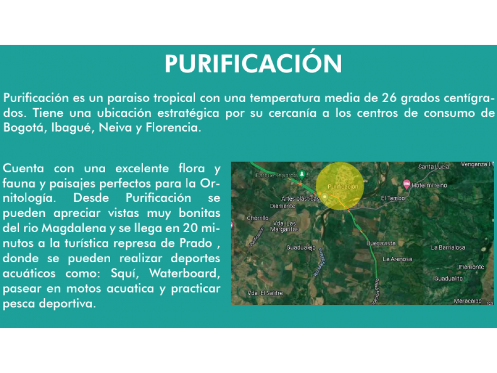 VENDO LOTE URBANO EN PURIFICACION - 4