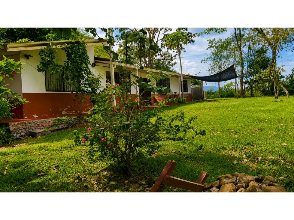 VENDO CASA- LOTE UBICADA EN LA VEREDA LLANOS DEL COMBEIMA — foto 2