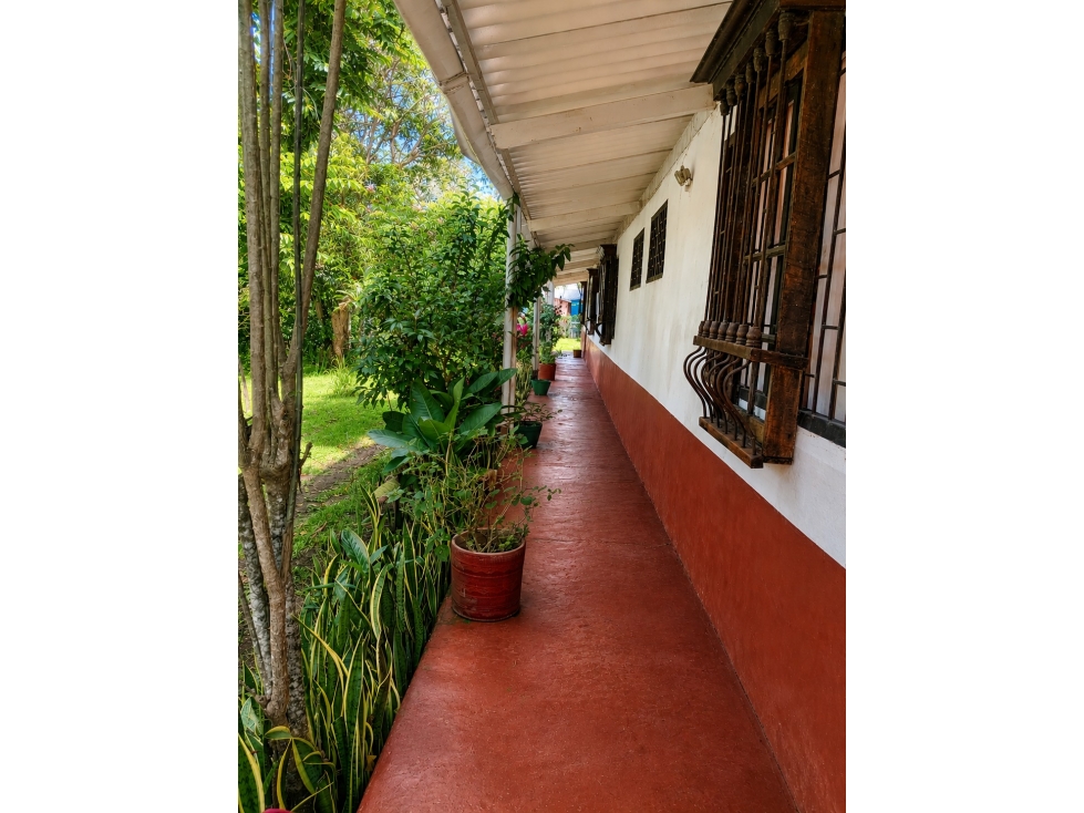VENDO CASA- LOTE UBICADA EN LA VEREDA LLANOS DEL COMBEIMA — foto 3