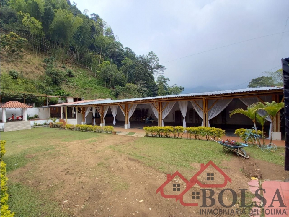 VENDO HERMOSA FINCA EN VEREDA CAI VIA CAÑON DEL COMBEIMA - 3