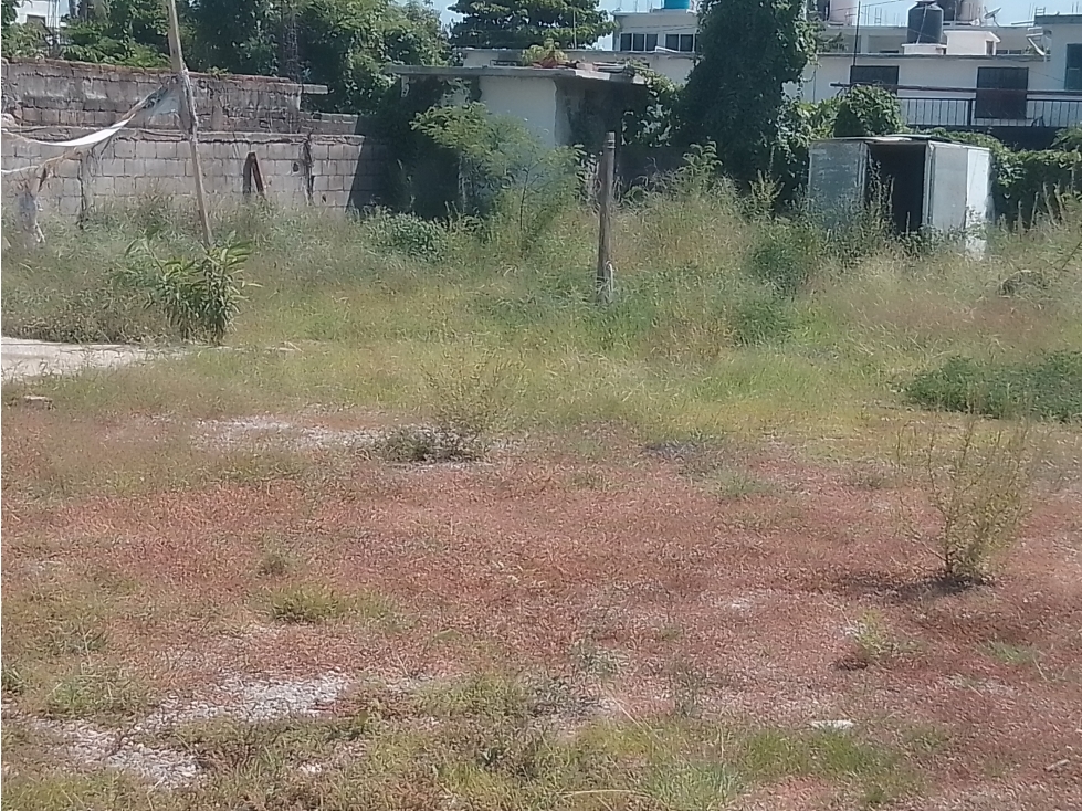 EN VENTA TERRENO COL ALBORADA LLANO LARGO ACAPULCO - 3