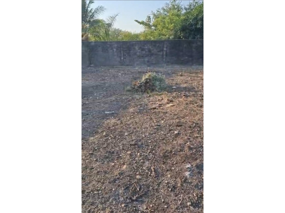 VENTA TERRENO CAYACO ACAPULCO AMPLIO Y BARDEADO - 4