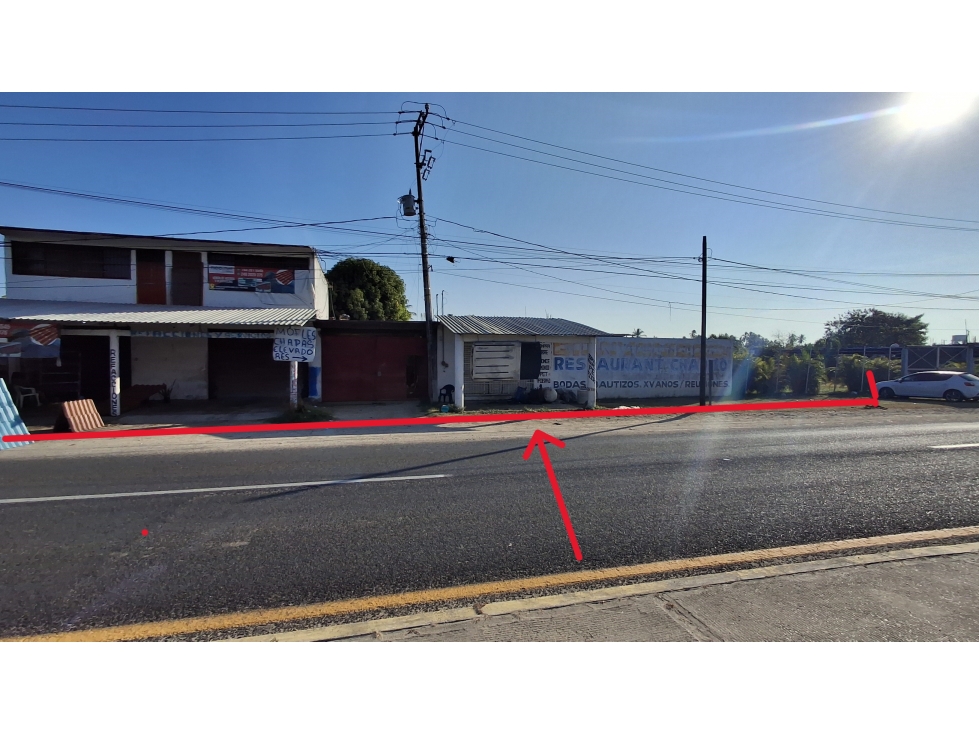RENTA A FRANQICIAS TERRENO CARR ACA-PINOTEP 3 PALOS ACAPULCO - 2
