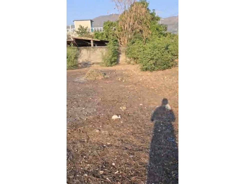 VENTA TERRENO CAYACO ACAPULCO AMPLIO Y BARDEADO - 2