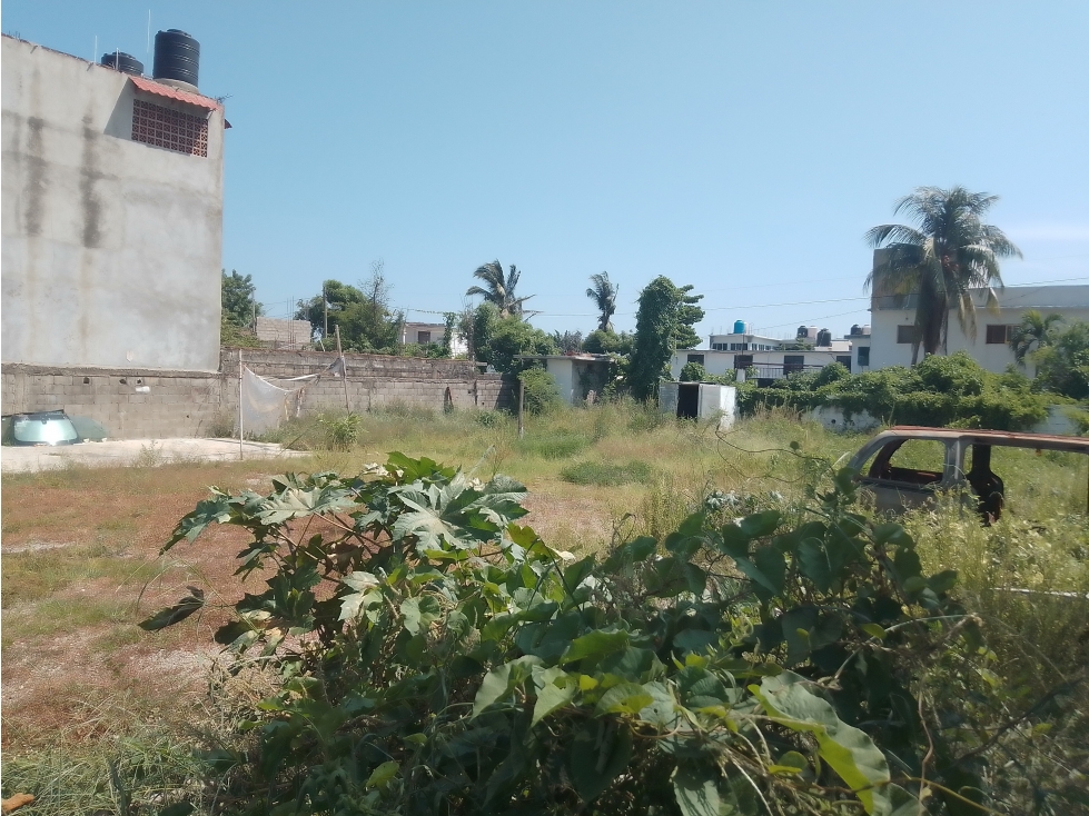 EN VENTA TERRENO COL ALBORADA LLANO LARGO ACAPULCO - 5