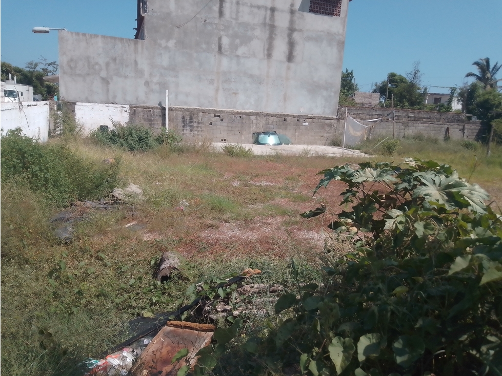 EN VENTA TERRENO COL ALBORADA LLANO LARGO ACAPULCO - 6