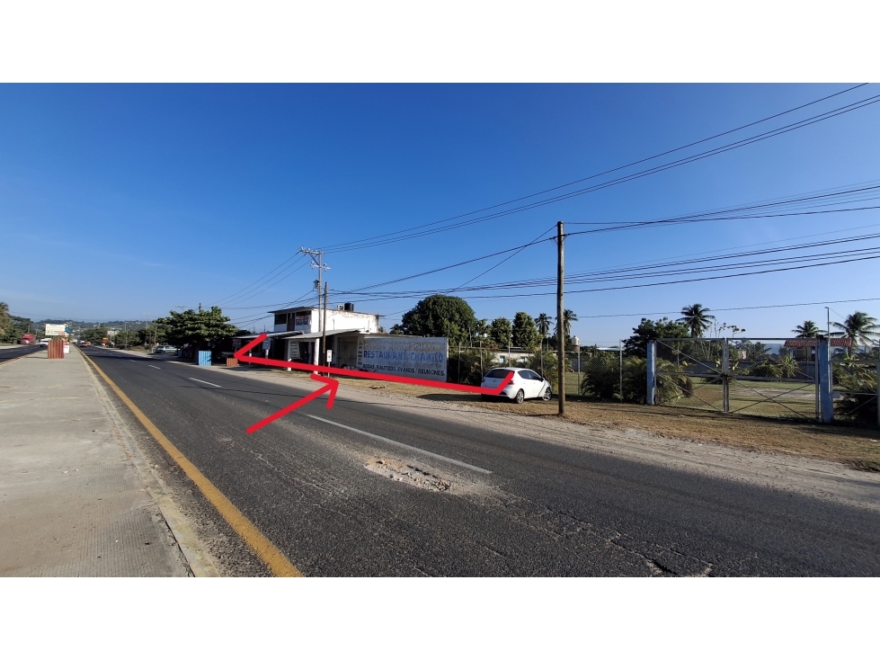RENTA A FRANQICIAS TERRENO CARR ACA-PINOTEP 3 PALOS ACAPULCO - 3