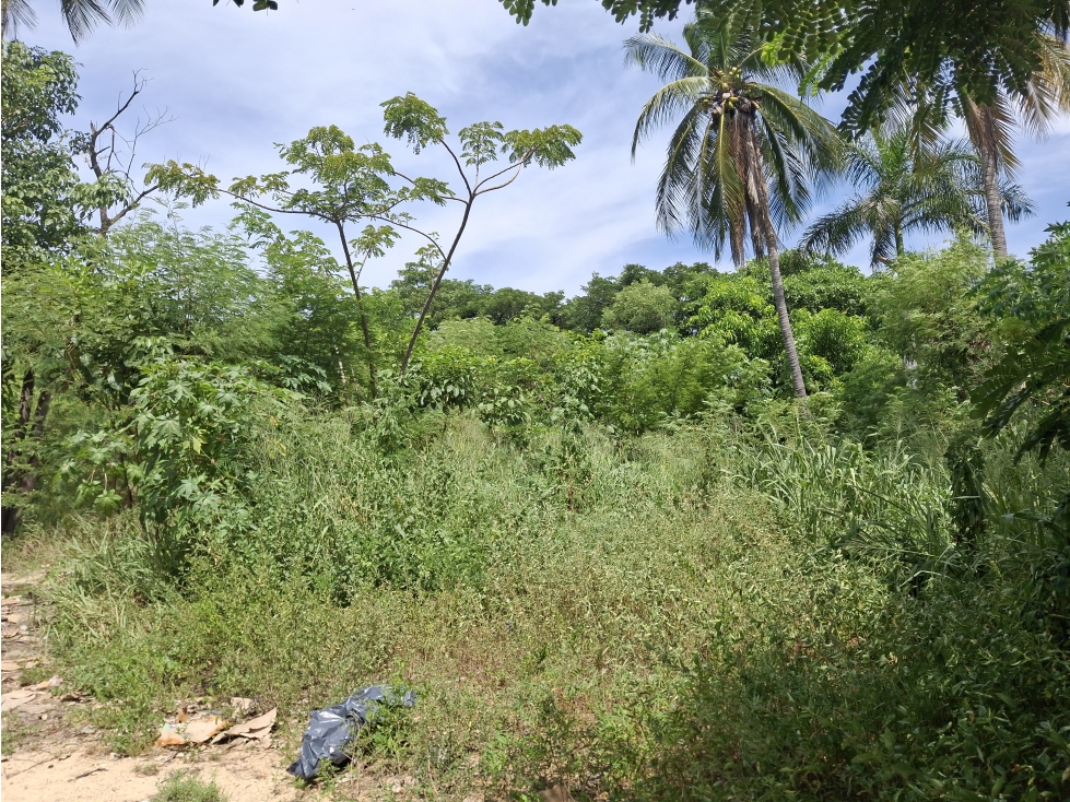 RENTA A FRANQUICIAS TERRENO CARR CAYACO/PTO MARQ LLANO LARG ACAPULCO - 4