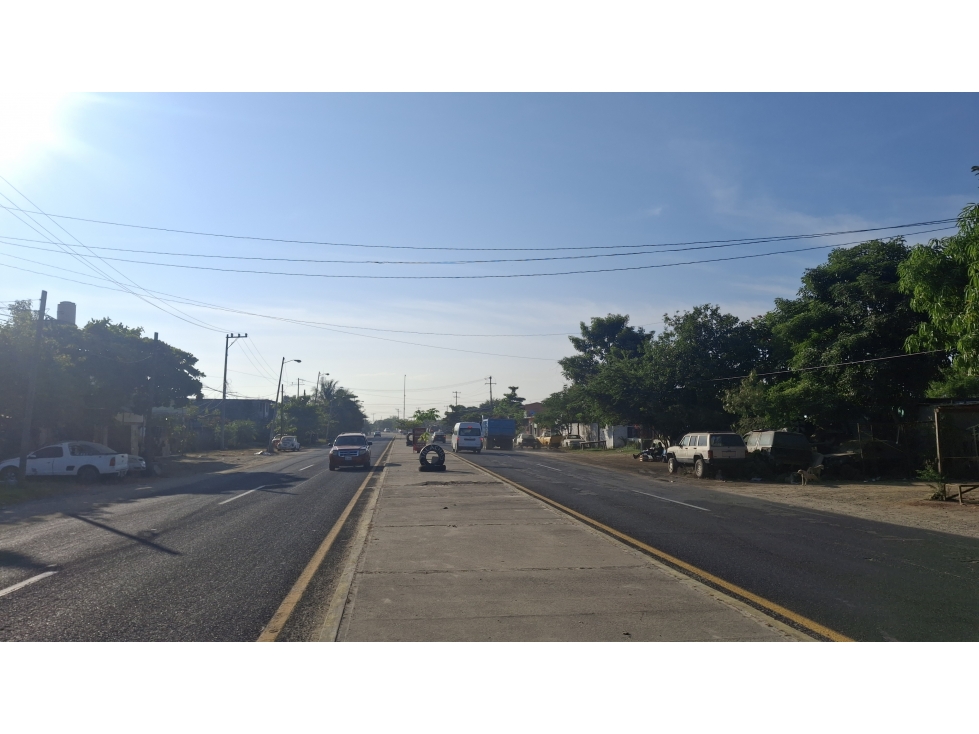 RENTA A FRANQICIAS TERRENO CARR ACA-PINOTEP 3 PALOS ACAPULCO - 5