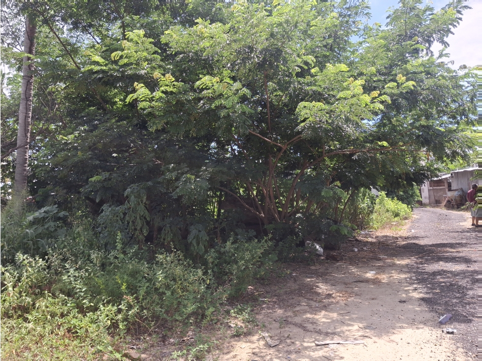 RENTA A FRANQUICIAS TERRENO CARR CAYACO/PTO MARQ LLANO LARG ACAPULCO - 5
