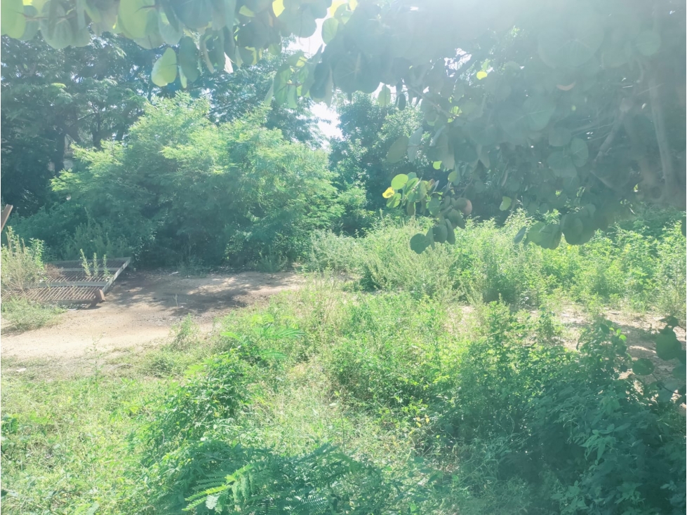 VENTA AMPLIO TERRENO COSTA AZUL ACAPULCO A PASOS DE LA PLAYA - 6