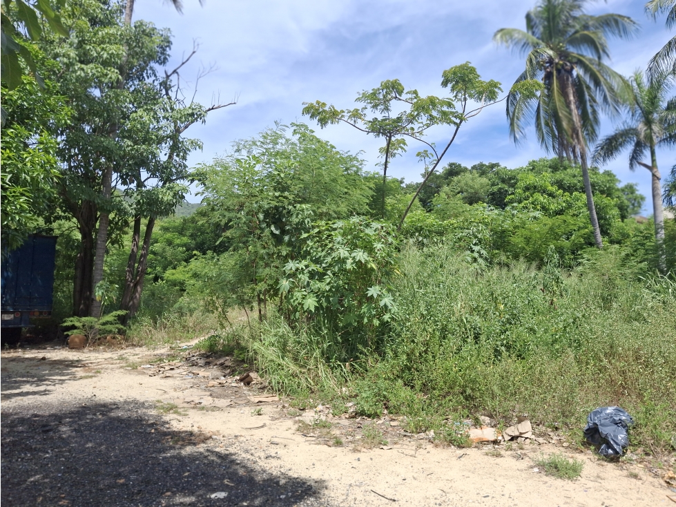 RENTA A FRANQUICIAS TERRENO CARR CAYACO/PTO MARQ LLANO LARG ACAPULCO - 6