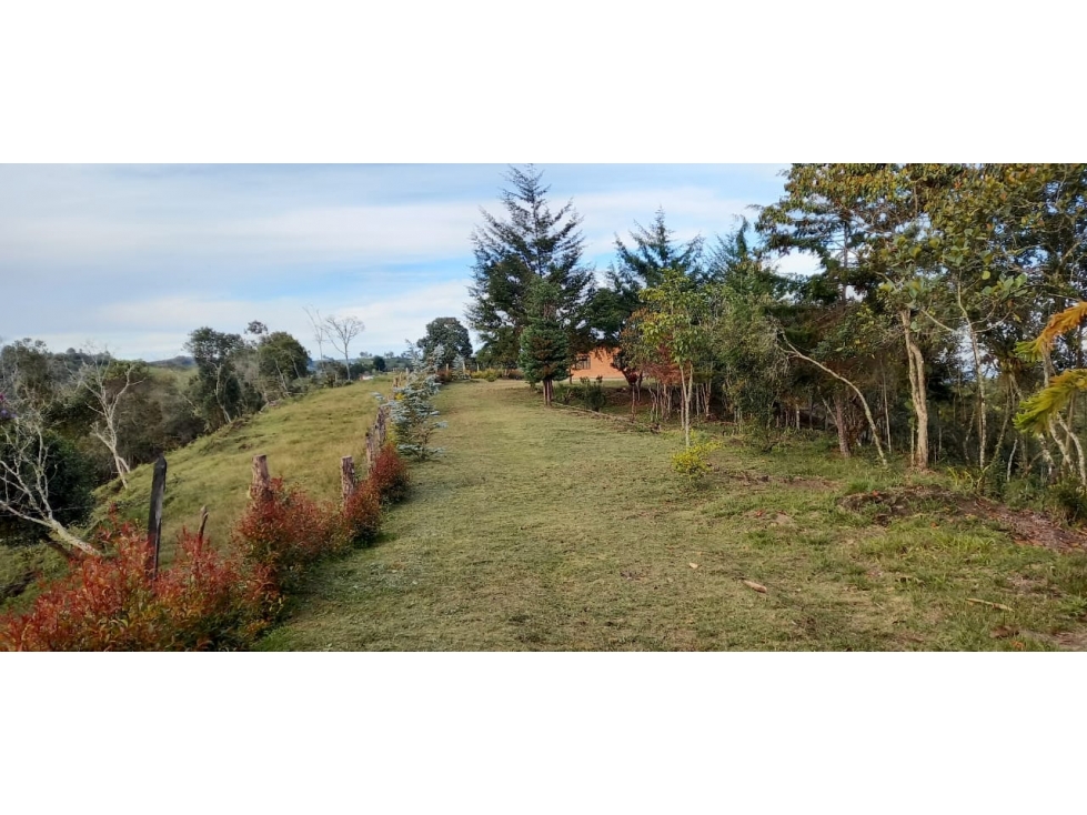 L0259. VENDO! Lote con excelente valorización en San Vicente Ferrer