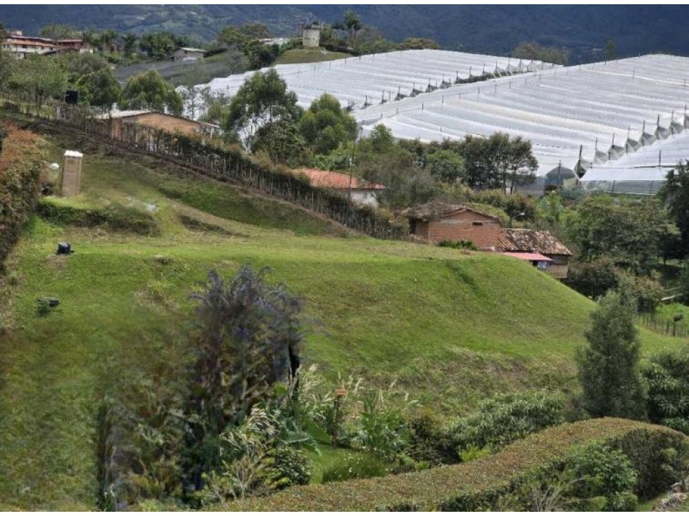L0329. Lote en parcelación cerrada sobre la vía La Ceja - Rionegro — foto 3