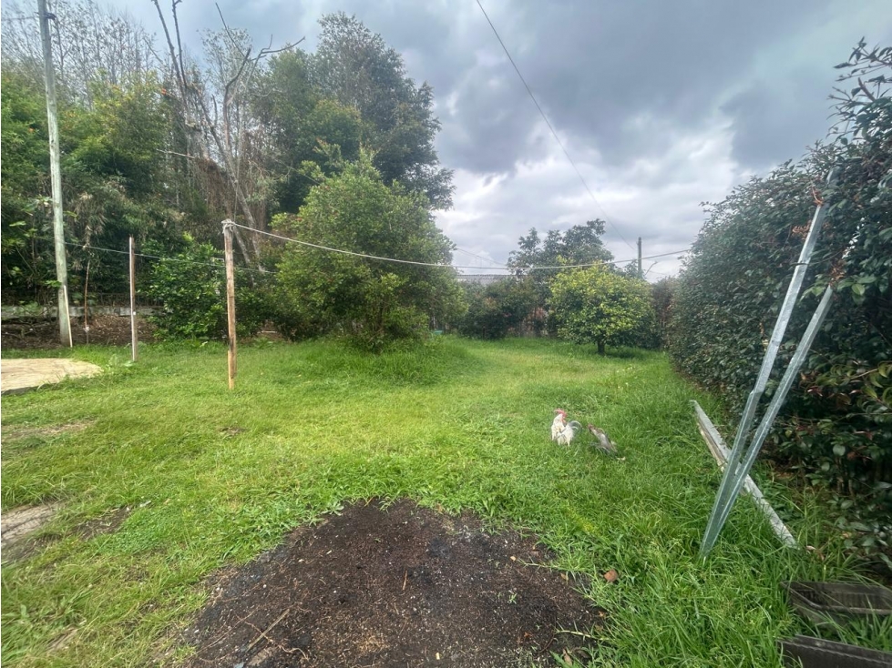 L0323. VENDO! Lote de 6.300MT2 en zona urbana del municipio de La Ceja — foto 5