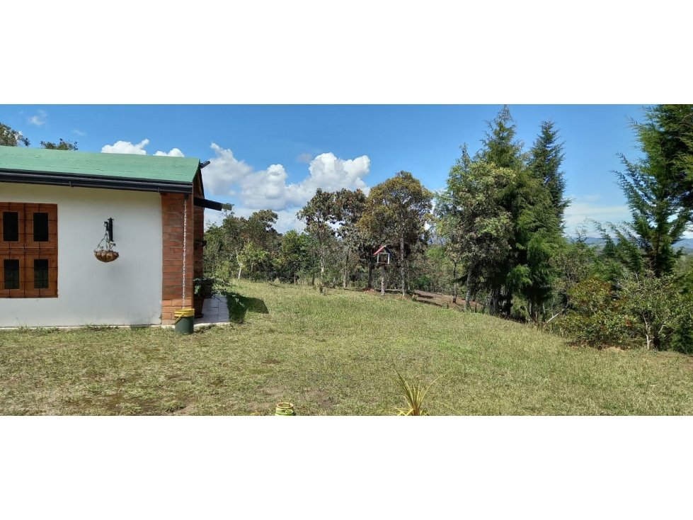 L0259. VENDO! Lote con excelente valorización en San Vicente Ferrer — foto 2