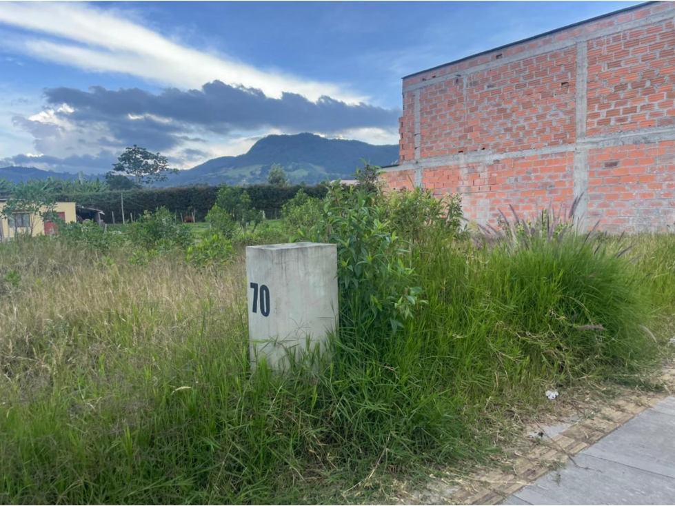 L0269. Vendo! Lote en unidad abierta con precio de oportunidad La Ceja — foto 2