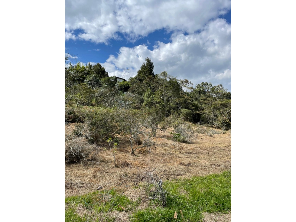 L0278. VENDO! Lote en sector de alta valorización en Rionegro — foto 3