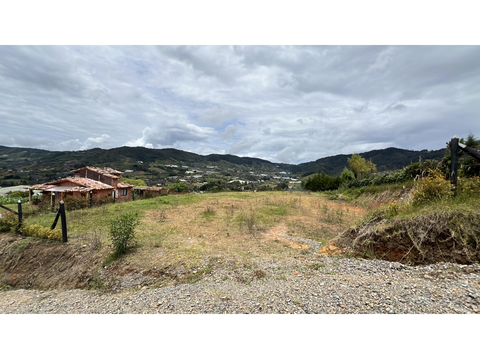 L0279. VENDO! Lote en sector de alta valorización en El Carmen — foto 3