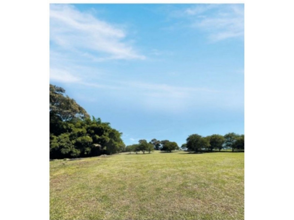 L0326. VENDO! Lote en proyecto campestre de alto nivel en Rionegro — foto 2