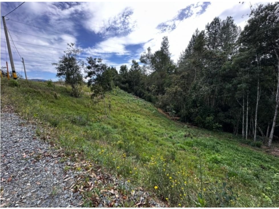 L0351. Lote de 2.500mt2 en excelente ubicación a 2km de La Ceja — foto 2