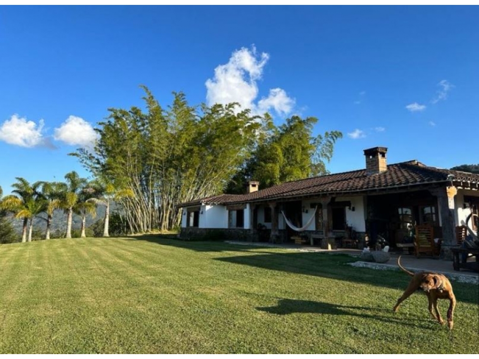 T0627. Alquiler! Finca con amplias zonas verdes en exclusivo sector — foto 2