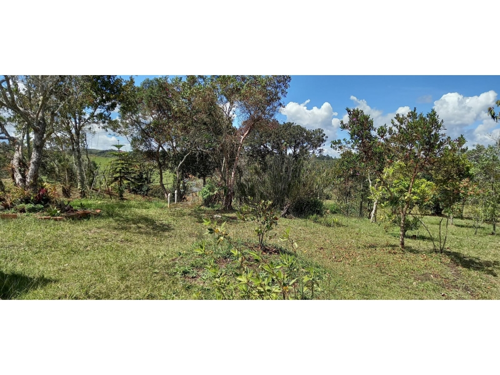 F0305.VENDO! FINCA CON HERMOSOS ESPACIOS EN SAN VICENTE — foto 4