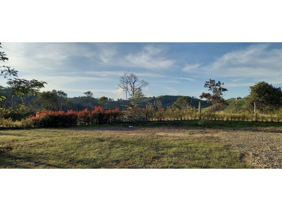F0305.VENDO! FINCA CON HERMOSOS ESPACIOS EN SAN VICENTE — foto 5