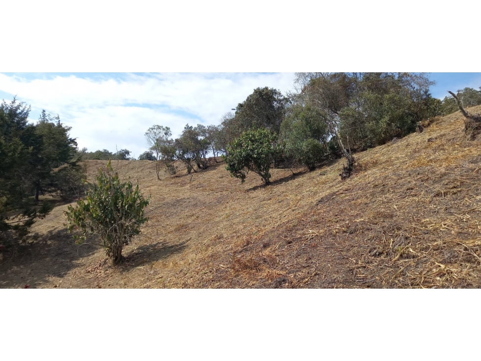 L0259. VENDO! Lote con excelente valorización en San Vicente Ferrer — foto 3