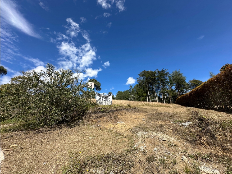 L0288 VENDO! Lote en exclusivo proyecto en la vía La Ceja-San Antonio — foto 2