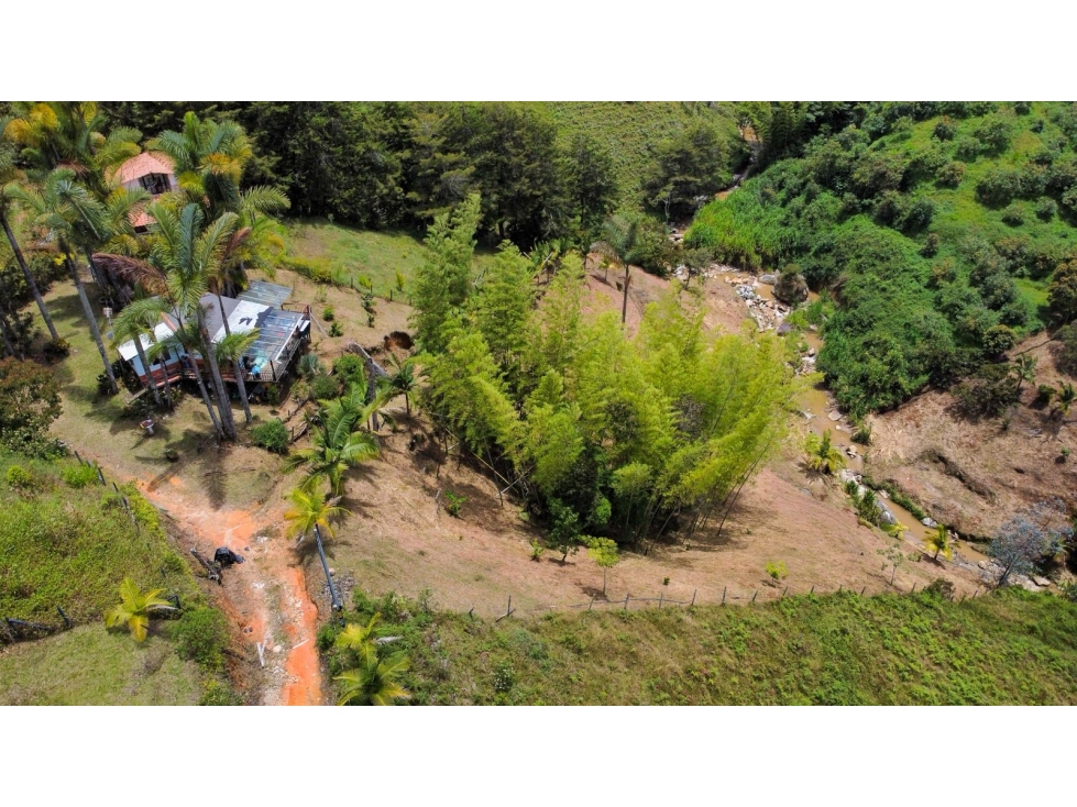 L0304.VENDO! Excelente Lote en Guatapé para Proyecto de Glamping — foto 3
