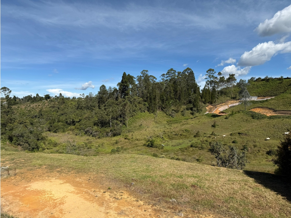 L0314. VENDO! Lote ubicado en excelente condominio de Rionegro — foto 3