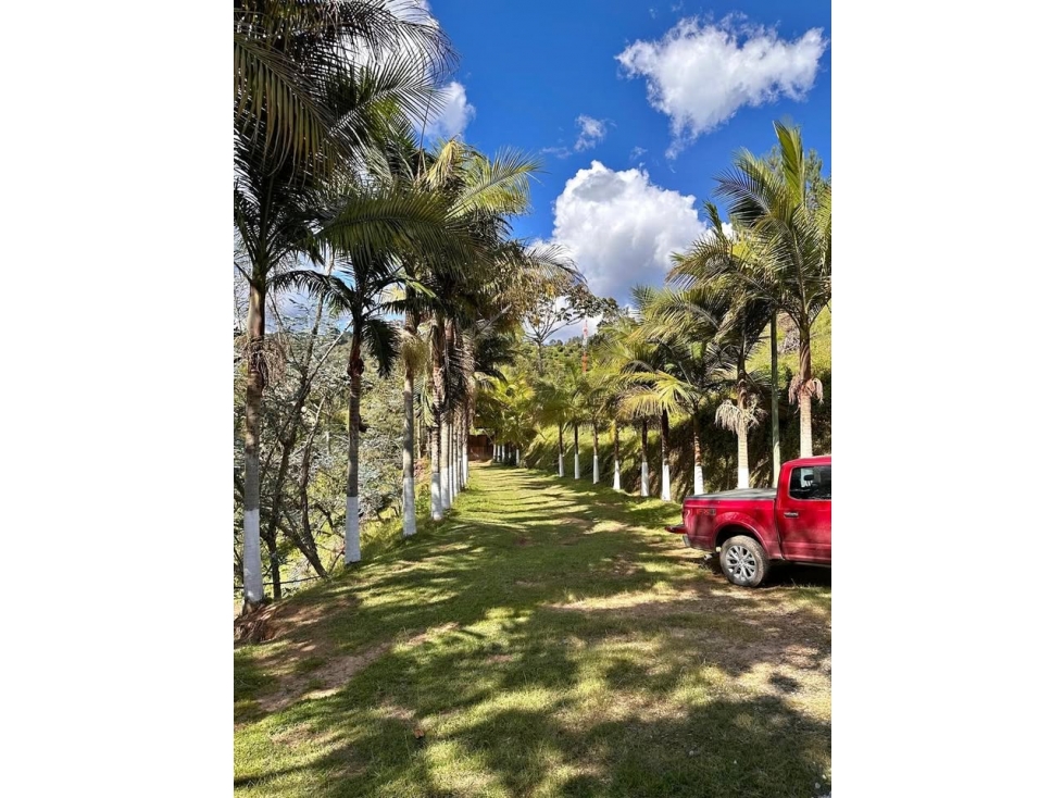 F0394.Finca de 12.000mt2 en un lugar tranquilo en El Retiro Antioquia — foto 3