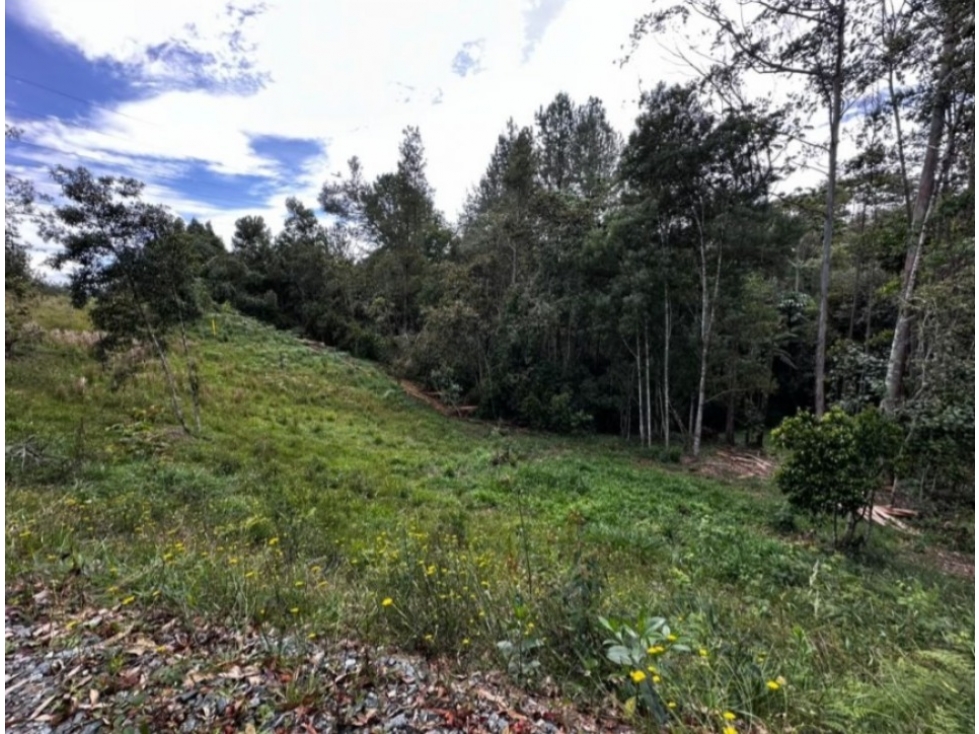 L0351. Lote de 2.500mt2 en excelente ubicación a 2km de La Ceja — foto 3