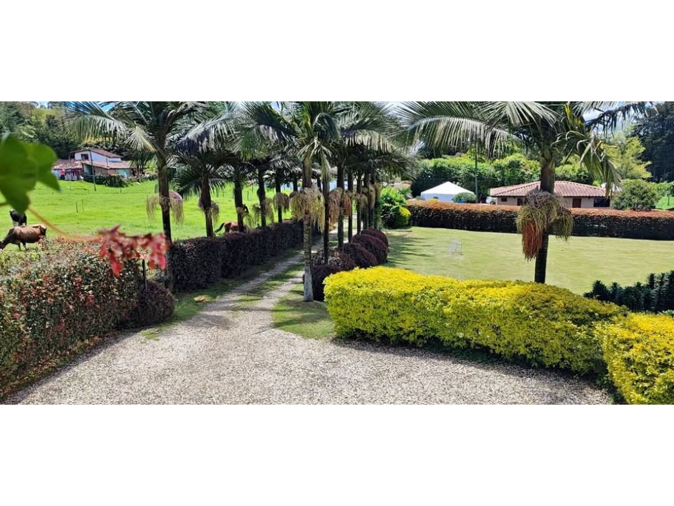 F0313. Venta! Finca con excelentes espacios en la Vereda Santa Teresa — foto 6