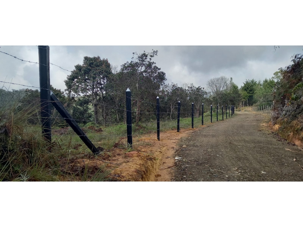L0259. VENDO! Lote con excelente valorización en San Vicente Ferrer — foto 4
