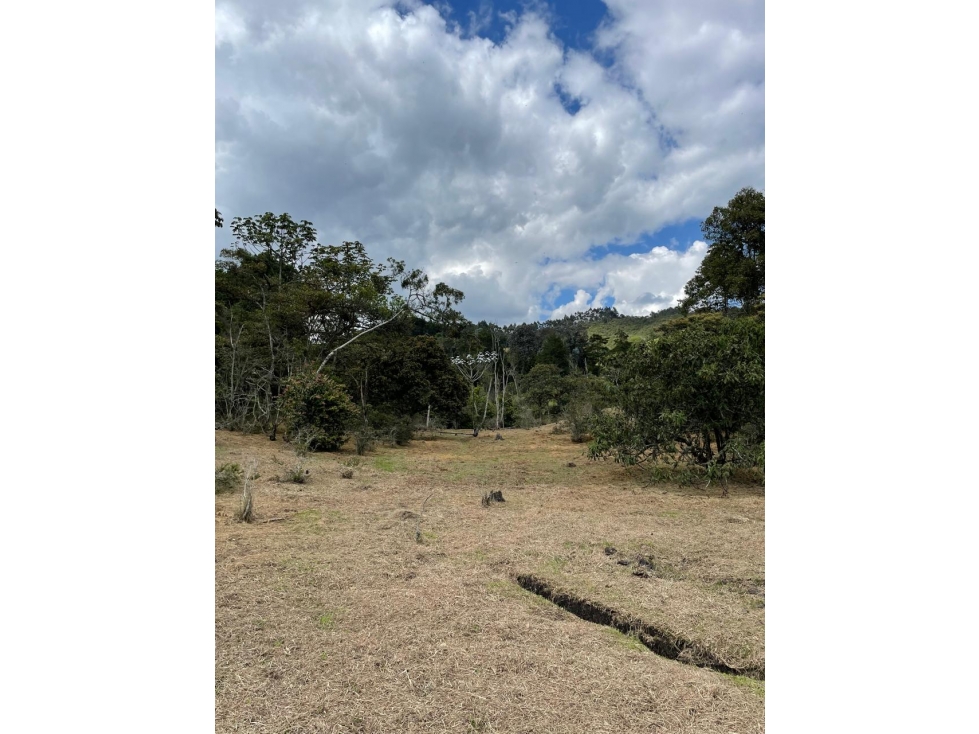 L0278. VENDO! Lote en sector de alta valorización en Rionegro — foto 5