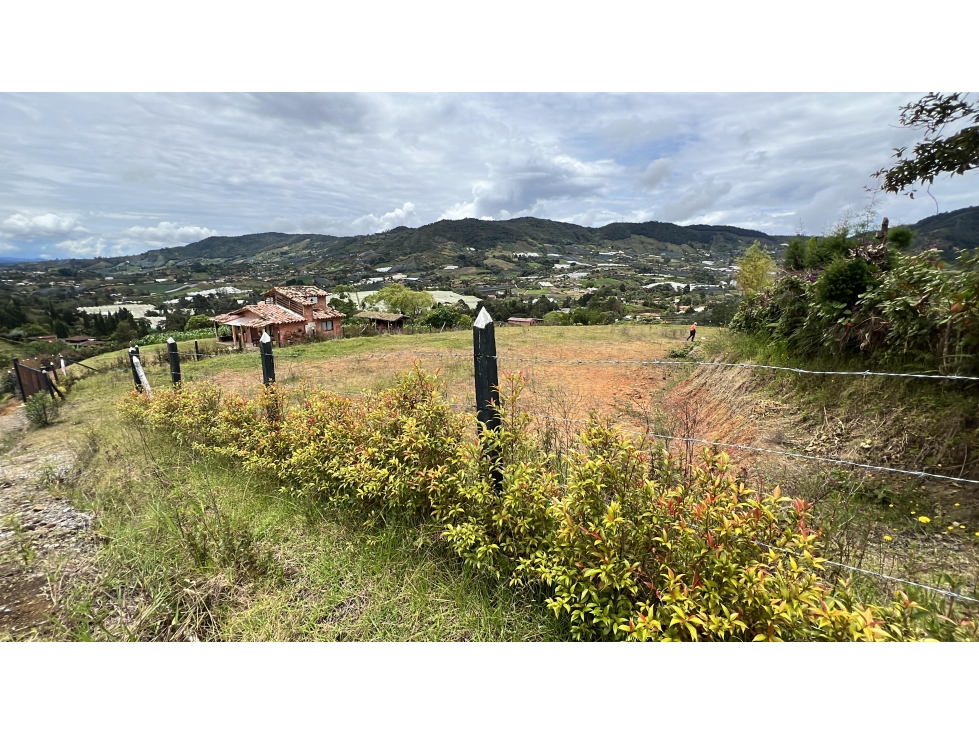 L0279. VENDO! Lote en sector de alta valorización en El Carmen — foto 5
