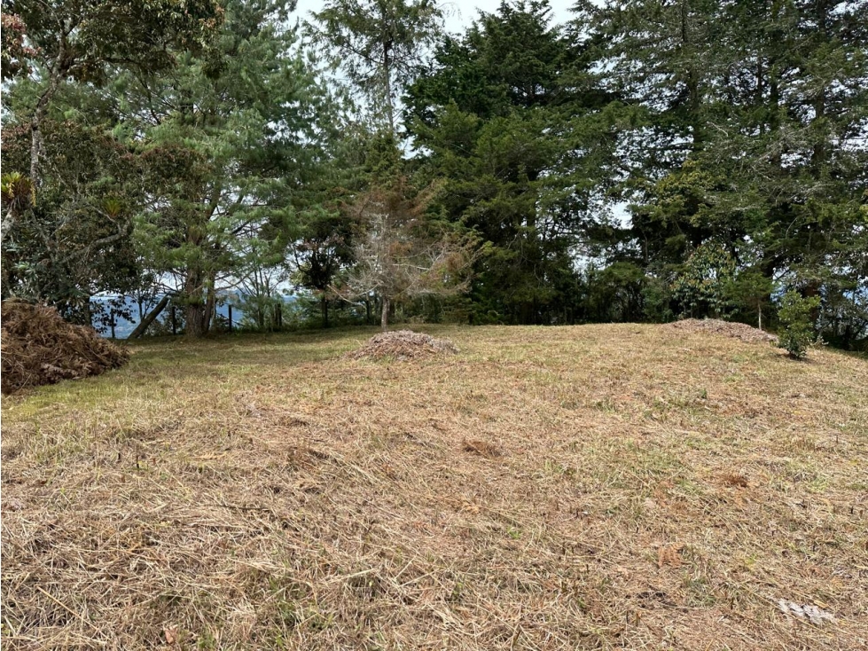L0311. VENDO! Lote en parcelación exclusiva de Rionegro Antioquia. — foto 4