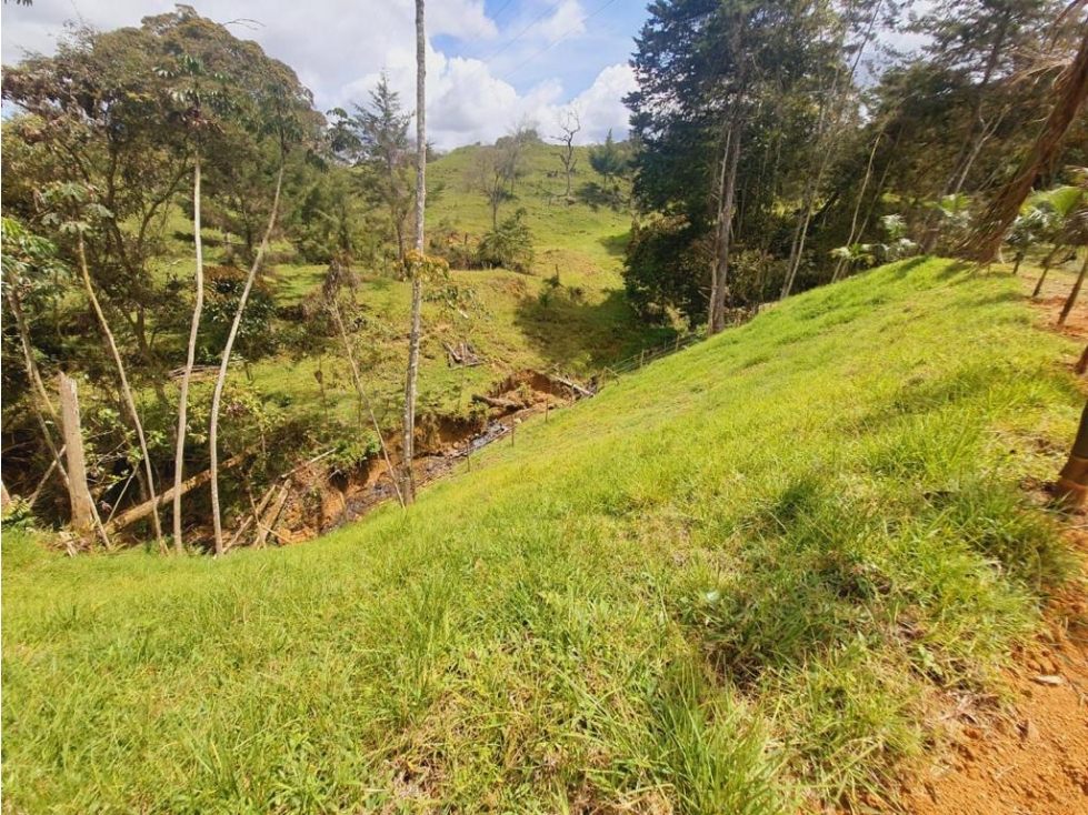 L0312. VENDO! Lote en exclusivo sector con un área de 4.402 Mt2 - 4