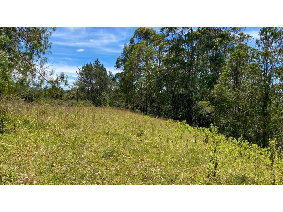 L0324. VENDO! Lote campestre en entorno natural con alta valorización — foto 4
