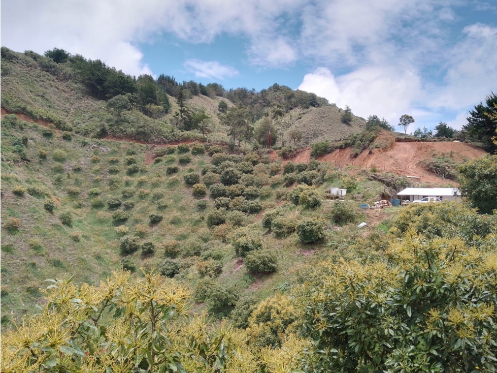 L0322. VENDO! Lote ubicado a 35min de la zona urbana de La Ceja — foto 3
