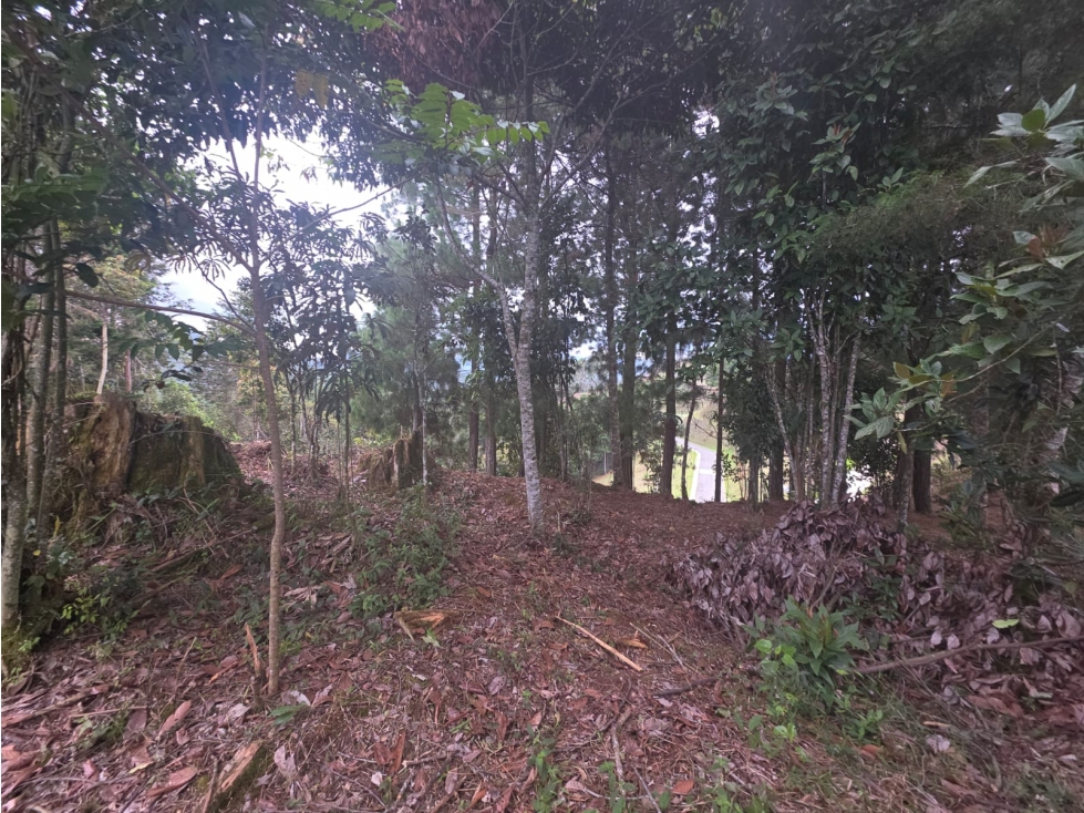 L0316. VENDO! Lote en parcelación para entrega inmediata del Retiro — foto 4