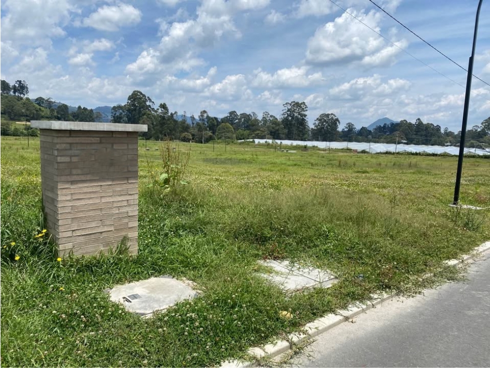 L0341. Lote en excelente parcelación en sector campestre de La Ceja — foto 5